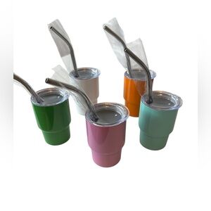 Colorful Mini Stainless Steel Tumblers with Straws